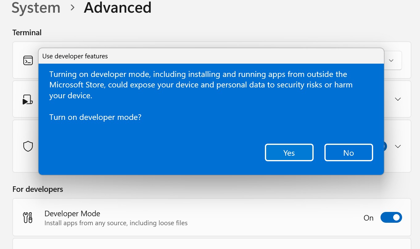 Screenshot showing the System > Advanced settings dialog box the option for enabling Developer Mode.