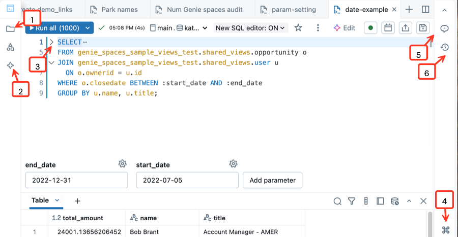 Screenshot des SQL-Editors mit beschrifteten Hinweisen wie im Text angegeben.