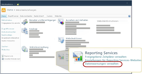 Reporting Services-Abschnitt der Seite "Siteeinstellungen"