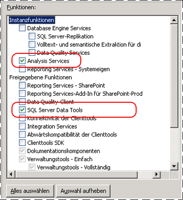 Funktionsstruktur des Setups mit Analysis Services