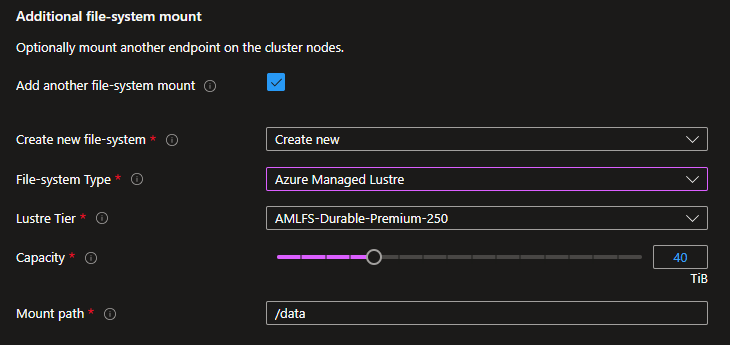 Screenshot of the Additional File-system mount for create new Azure Managed Lustre.