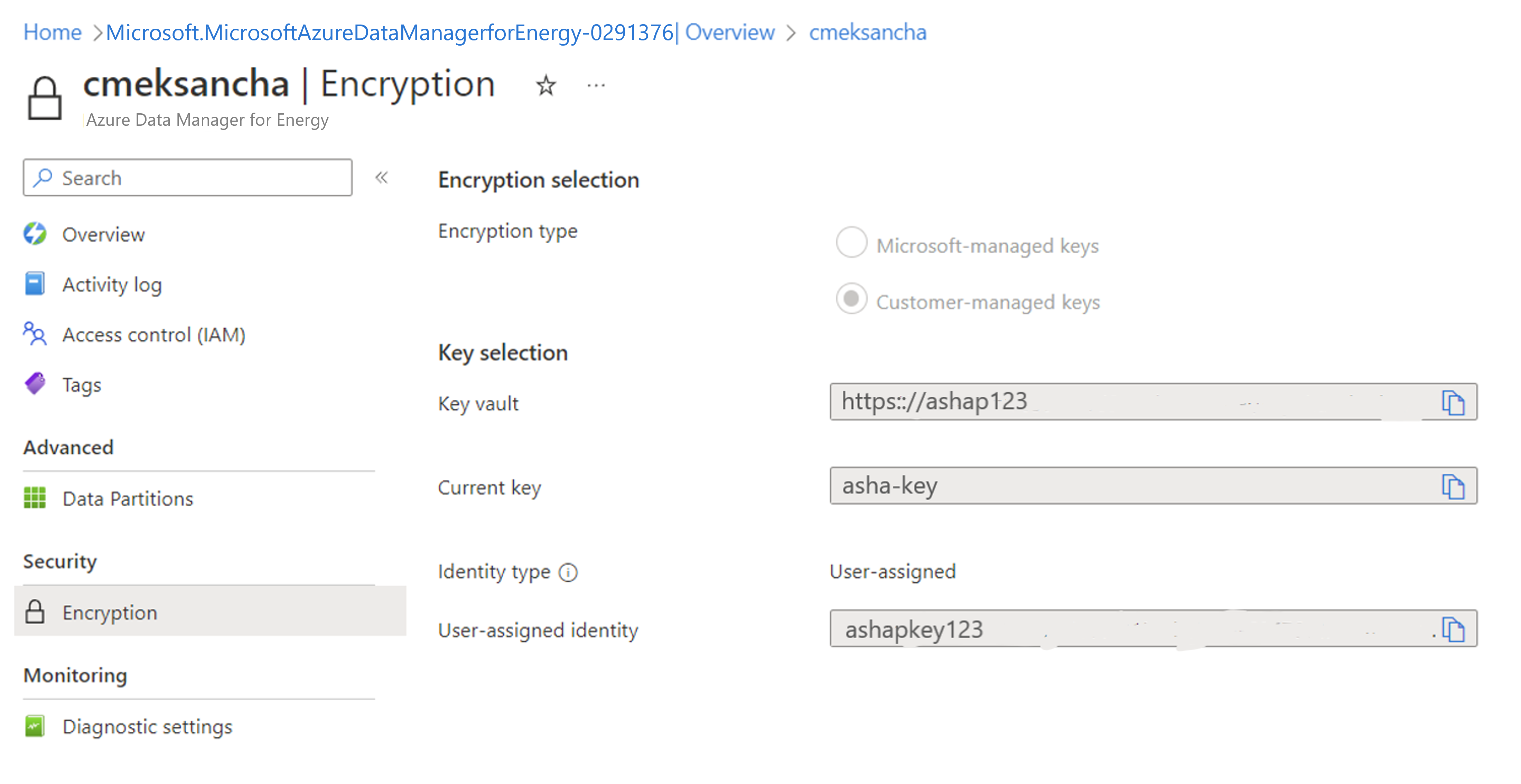Screenshot of CMK settings disabled once Azure Data Manager for Energy instance is installed.