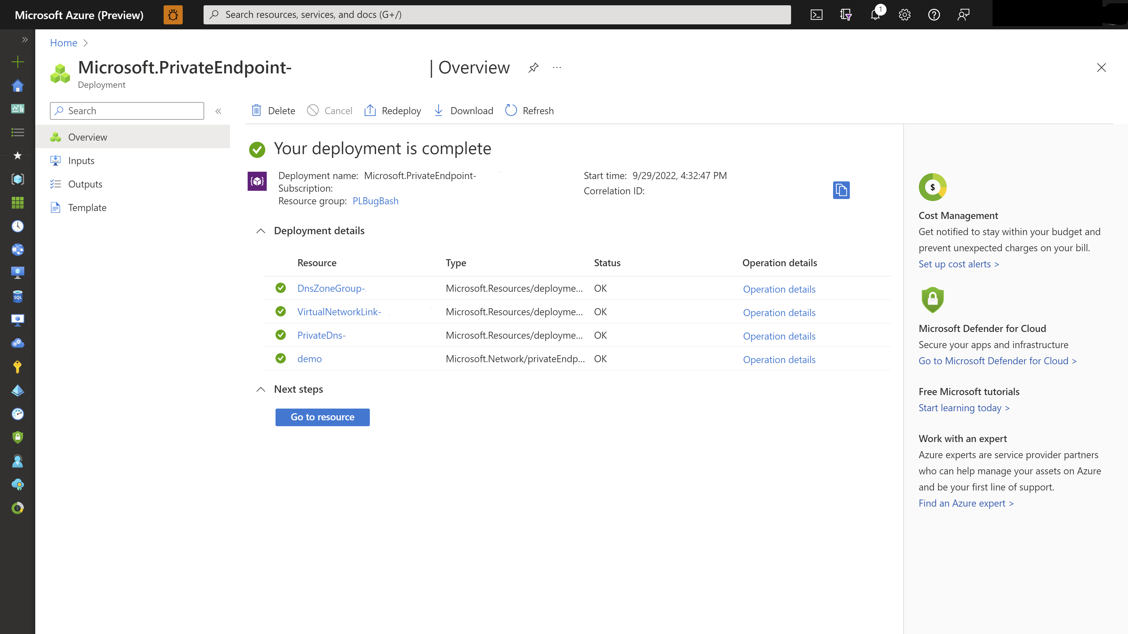 Screenshot that shows an overview of a private endpoint deployment.