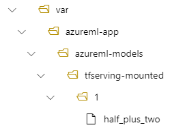 Screenshot that shows a tree view of the deployment directory structure. The var/azureml-app/azureml-models/tfserving-mounted/1 path is visible.