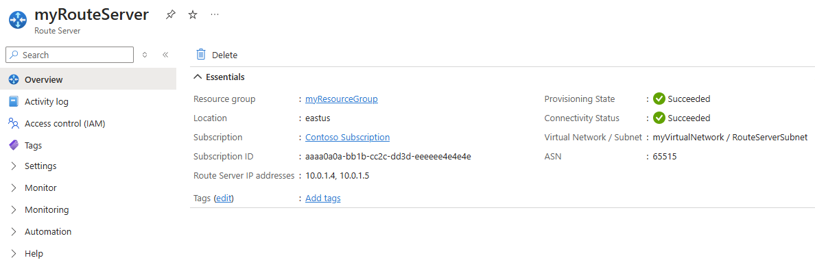 Screenshot of Route Server overview page showing ASN and Peer IP information.