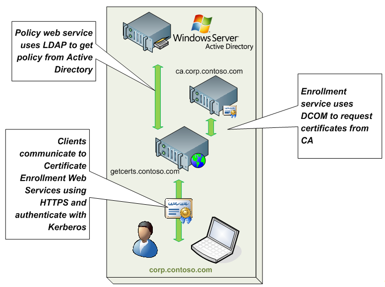 A diagram showing an intranet with a single forest.