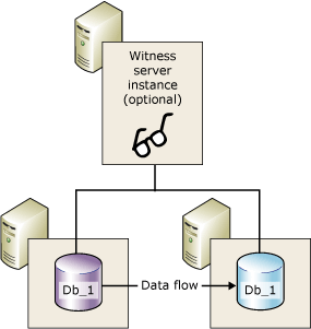 Screenshot of A mirroring session that includes a witness.