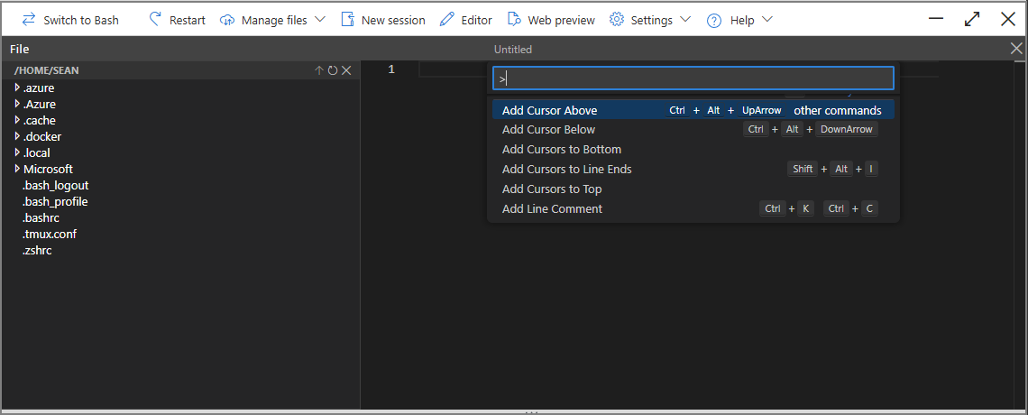 Screenshot della palette comandi.