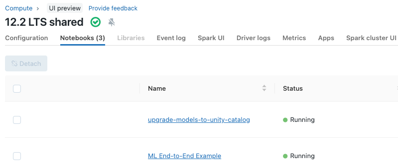Dettagli del cluster con notebook allegati