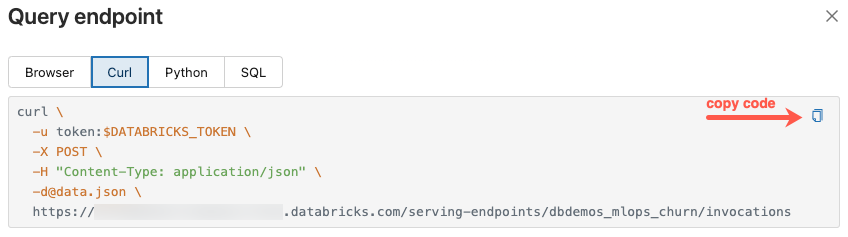 Pulsante copia nella finestra di dialogo dell'endpoint query