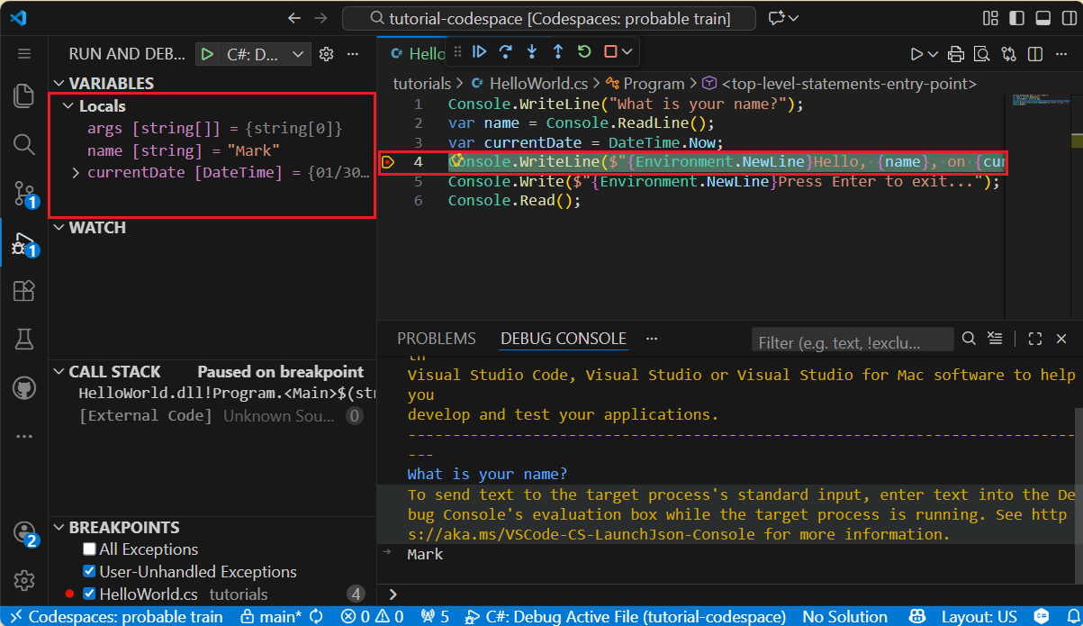 Raggiunto punto di interruzione, visualizzazione variabili locali
