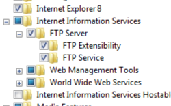 Screenshot del riquadro Internet Information Services e F T P Server espanso con F T P Extensibility e entrambi i servizi F T P selezionati.