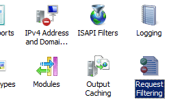 Immagine dell'applicazione filtro richieste evidenziata nella home page del sito Web predefinito.