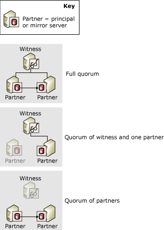 Quorum: completi; testimone e partner; entrambi i partner