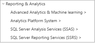 Screenshot che mostra un singolo elemento a V nel sommario.
