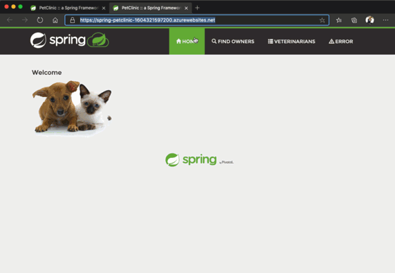 Screenshot dell'applicazione di esempio della clinica veterinaria distribuita.