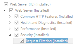 [Request Filtering Installed]\(要求のフィルター処理がインストール済み\) が選択されていることを示すスクリーンショット。