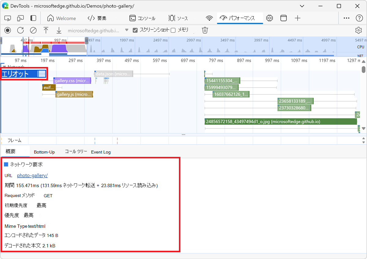 [概要] タブのフォト ギャラリー要求の詳細
