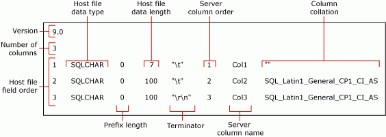 mytestskipcol の既定の XML 以外のフォーマット ファイルを詳細に示す図。