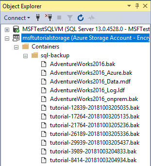 Azure Container に複数のスナップショットがある SSMS のオブジェクト エクスプローラーのスクリーンショット。