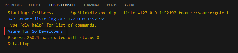 Uma captura de tela mostrando o resultado do programa Go de exemplo impresso no console de depuração.