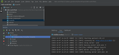 Captura de tela mostrando um exemplo de execução de um contêiner no PyCharm.