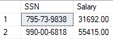 Captura de ecrã dos resultados em texto plano de colunas encriptadas.