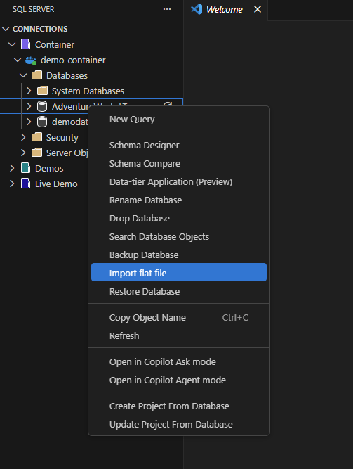 Captura de ecrã da opção Importar ficheiro plano no menu contextual do Explorador de Objetos.