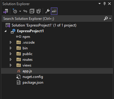 Visual Studio 中解决方案资源管理器的屏幕截图。