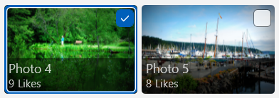 在项目视图中，有一个带蓝色边框的图像，上面覆盖了一个已选中的复选框，表示该图像已被选中。旁边还有一个未选中的图像，它没有边框，并伴随一个未选中的复选框。